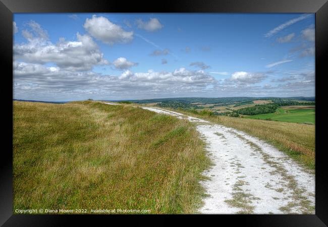 The Trundle Walk Framed Print by Diana Mower