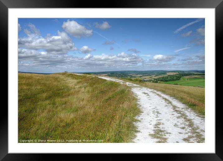 The Trundle Walk Framed Mounted Print by Diana Mower