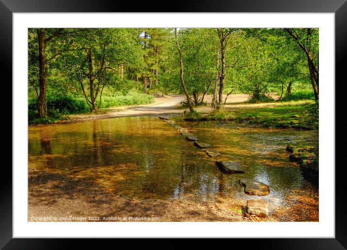 Cannock Stepping Stones Framed Mounted Print by Diana Mower