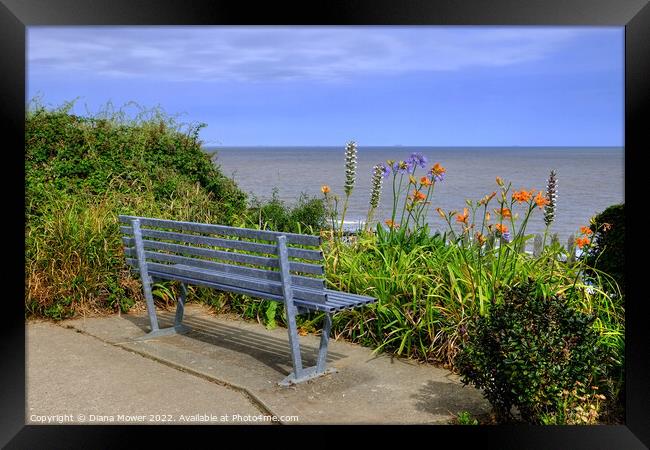 Seat with a view Walton on the Naze   Framed Print by Diana Mower