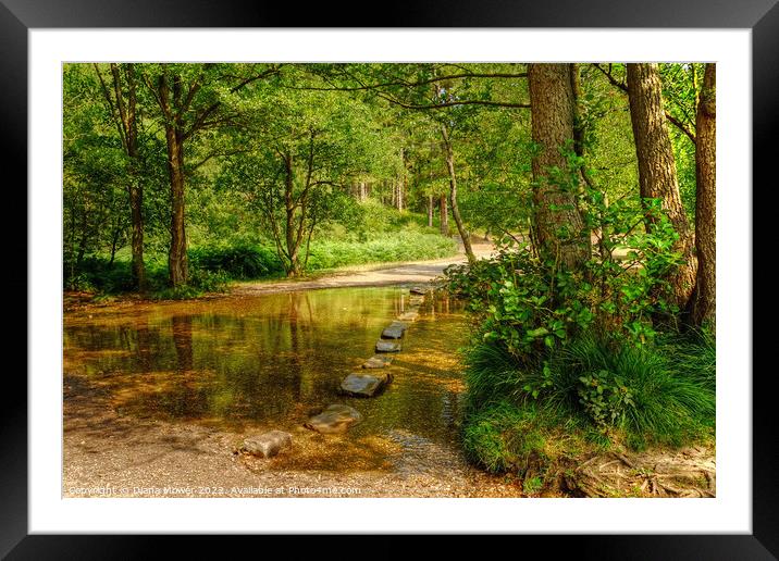 The Cannock Chase Stepping Stones Framed Mounted Print by Diana Mower