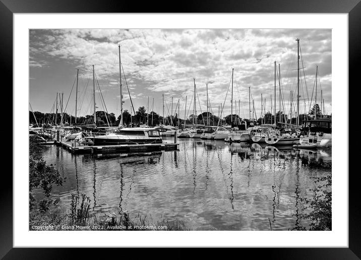 Chichester Marina West Sussex  Monochrome Framed Mounted Print by Diana Mower