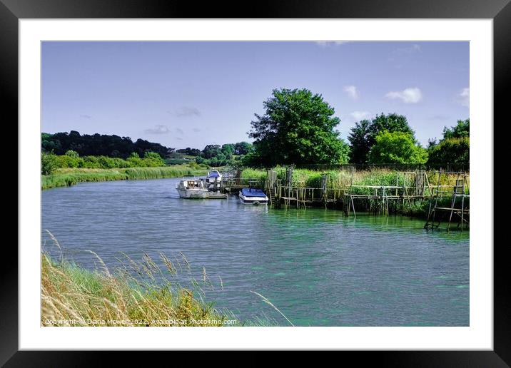 Boats on the River Arun Framed Mounted Print by Diana Mower