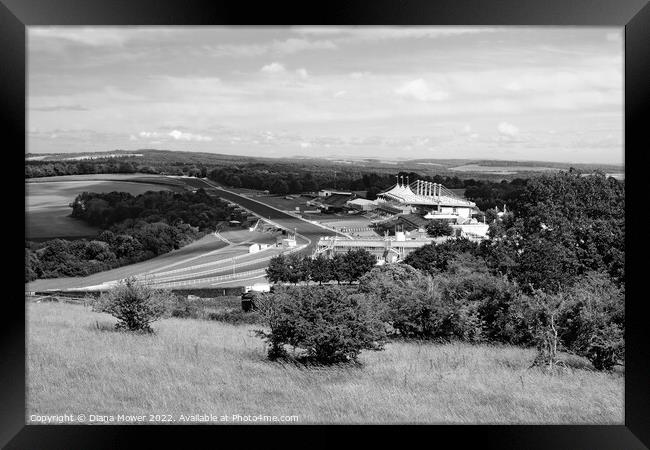 Goodwood from The Trundle Monochrome Framed Print by Diana Mower