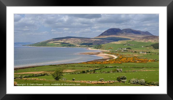 Isle of Arran Panoramic  Coastal view Framed Mounted Print by Diana Mower