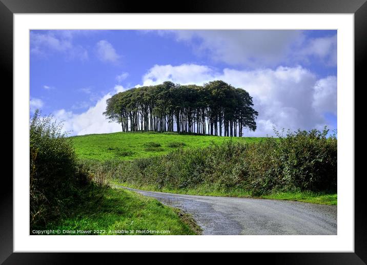 The Coming Home Nearly Home Trees Framed Mounted Print by Diana Mower