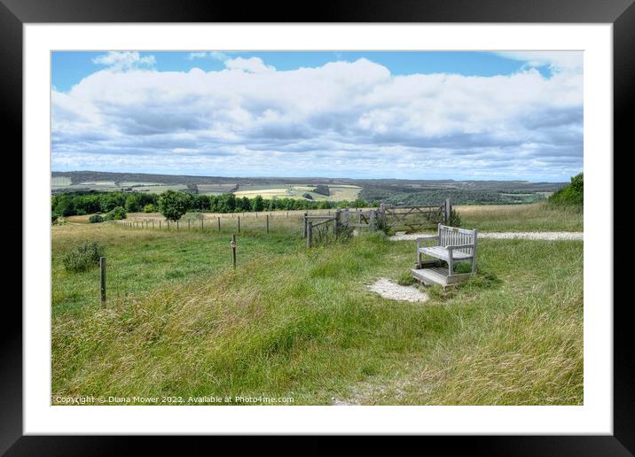 The Trundle Hillfort view  Framed Mounted Print by Diana Mower