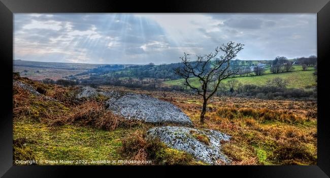 Dartmoor Panoramic view   Framed Print by Diana Mower