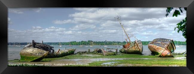 River Orwell Wrecks Panoramic Framed Print by Diana Mower