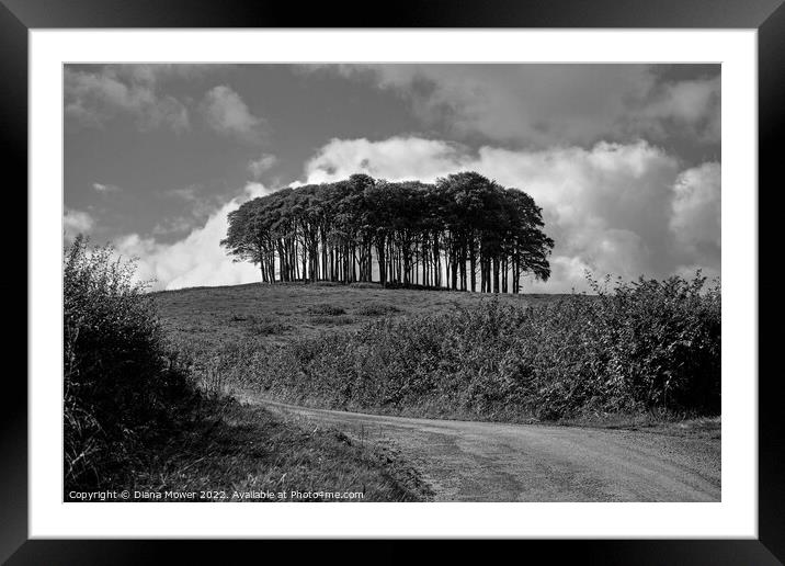  Nearly Home trees monochrome Framed Mounted Print by Diana Mower