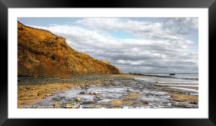The Naze beach at low tide Framed Mounted Print by Diana Mower