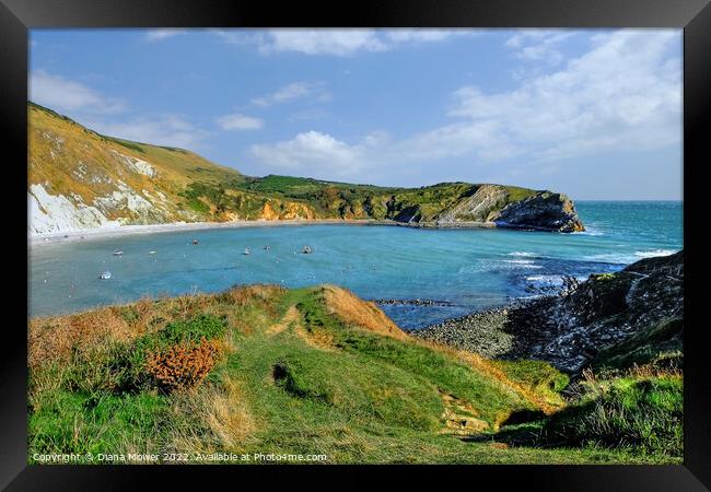 Lulworth Cove Dorset Framed Print by Diana Mower