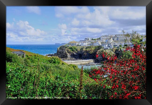  Picturesque Port Isaac   Framed Print by Diana Mower