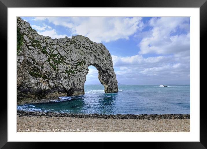 Durdle Door Arch Dorset  Framed Mounted Print by Diana Mower