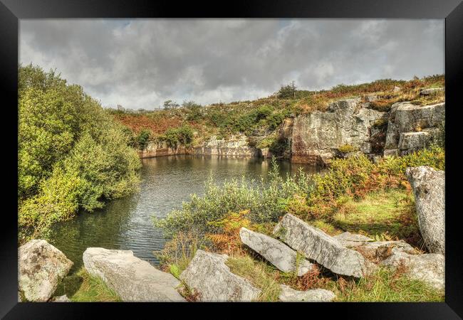 Bodmin moor Carbilly Tor disused quarry  Framed Print by Diana Mower