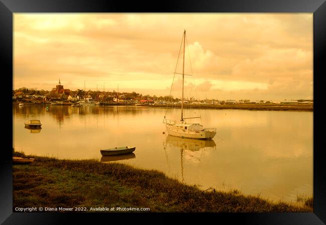 Golden hour Maldon Essex Framed Print by Diana Mower