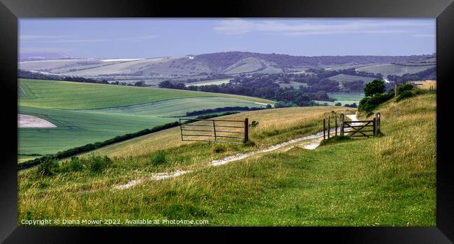 Sussex Countryside wide panoramic view Framed Print by Diana Mower