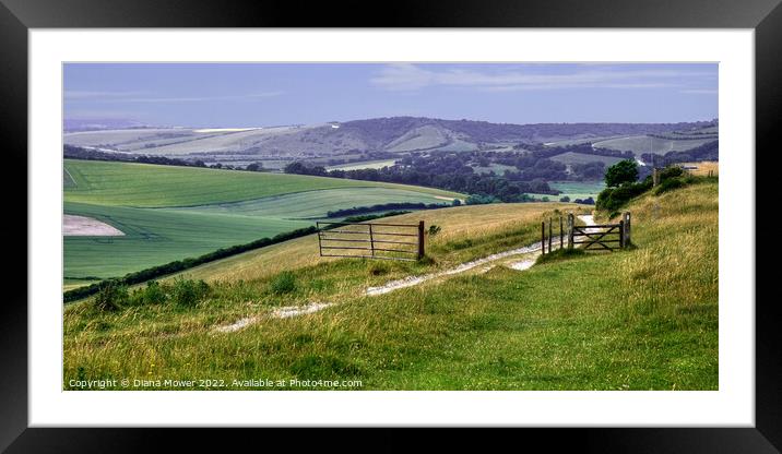 Sussex Countryside wide panoramic view Framed Mounted Print by Diana Mower