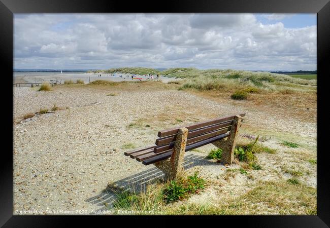 West Wittering seat with a view Framed Print by Diana Mower