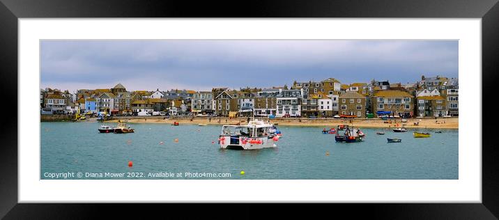  St Ives Harbour Panoramic    Framed Mounted Print by Diana Mower