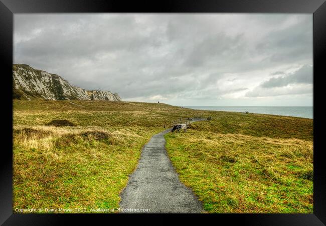 Samphire Hoe Country Park Kent Framed Print by Diana Mower