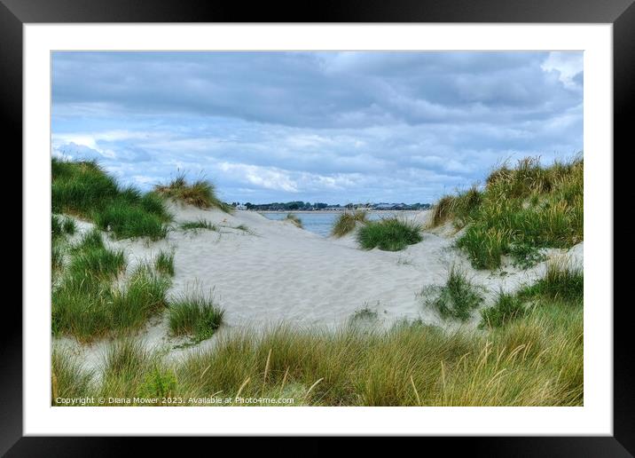 West Wittering Sand Dunes Sussex  Framed Mounted Print by Diana Mower