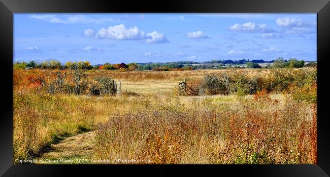 Essex Countryside in Autumn. Framed Print by Diana Mower