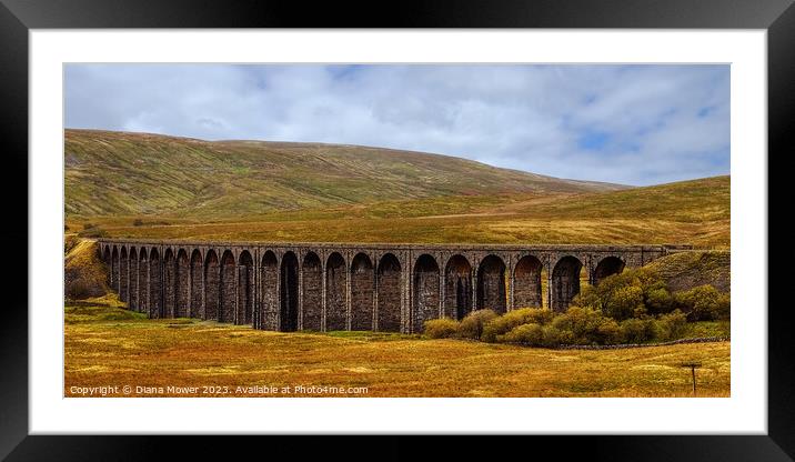 Ribblehead Viaduct Panoramic Framed Mounted Print by Diana Mower