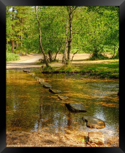 Cannock Chase Stepping Stones Framed Print by Diana Mower