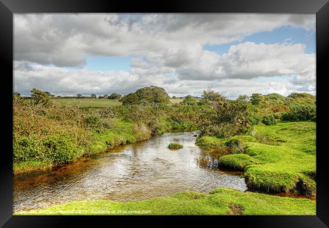 Bodmin Moor Cornwall Framed Print by Diana Mower