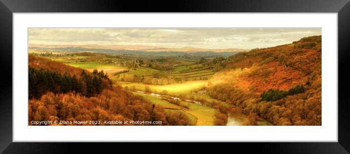 Golden hour at Symonds Yat Panoramic Framed Mounted Print by Diana Mower