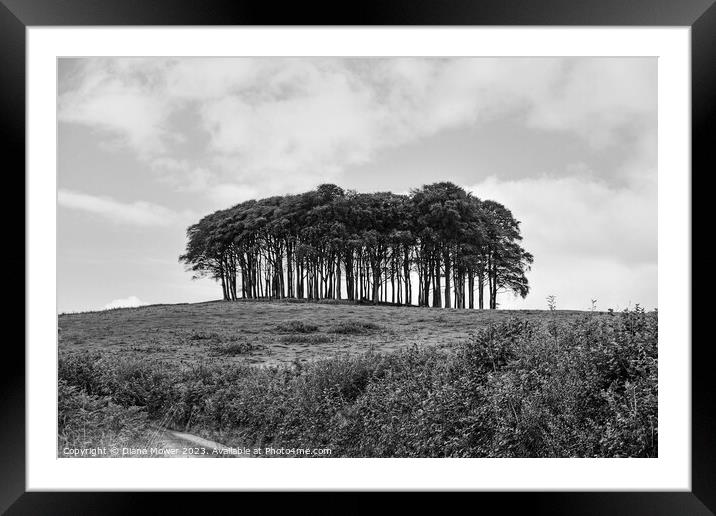 The Welcome Home or Nearly  trees monochrome Framed Mounted Print by Diana Mower