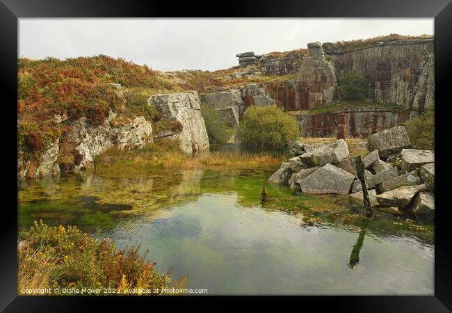 Carbilly Tor old quarry works Framed Print by Diana Mower