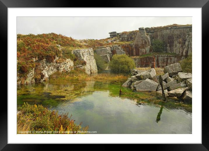 Carbilly Tor old quarry works Framed Mounted Print by Diana Mower