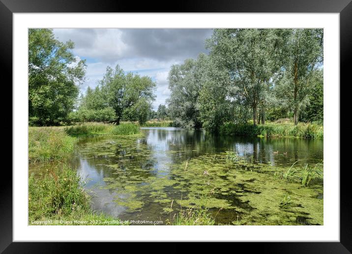 The River Stour between Dedham and Flatford Framed Mounted Print by Diana Mower