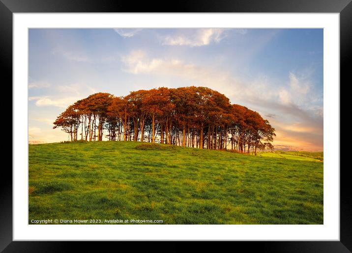 Cookworthy Knapp Cornwall Framed Mounted Print by Diana Mower