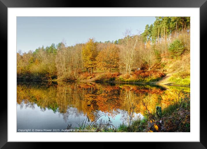 Cannock Chase Autumn Framed Mounted Print by Diana Mower