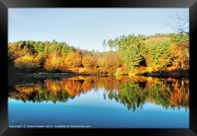 Cannock Chase Autumn Reflections Framed Print by Diana Mower