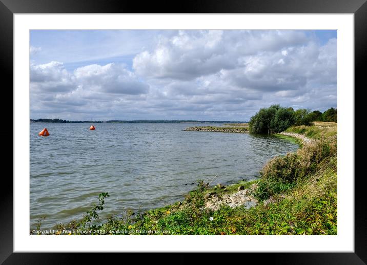 Grafham Water  Cambridgeshire Framed Mounted Print by Diana Mower