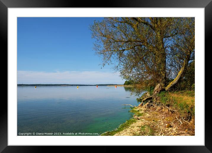 Grafham Water Cambridgeshire Framed Mounted Print by Diana Mower