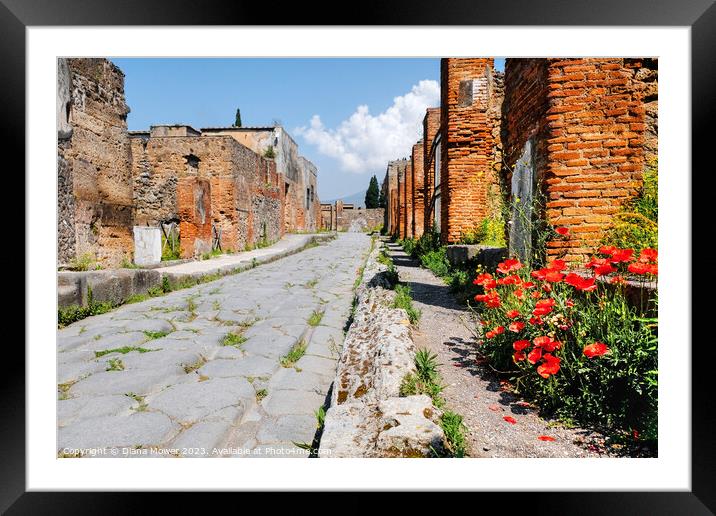 Pompeii Back Street Framed Mounted Print by Diana Mower