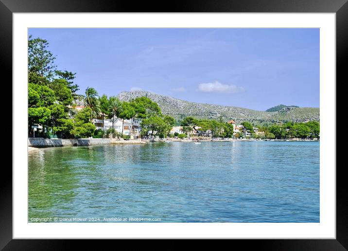 Pine Walk and Bay Puerto Pollensa  Framed Mounted Print by Diana Mower