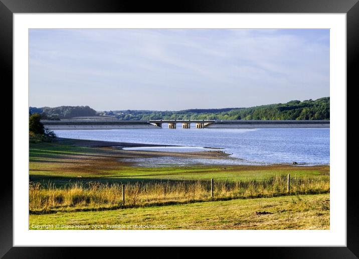 Blithfield Reservoir Staffordshire Framed Mounted Print by Diana Mower