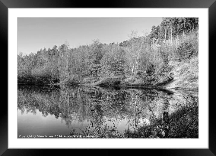 Cannock Chase Autumn Reflections  Framed Mounted Print by Diana Mower