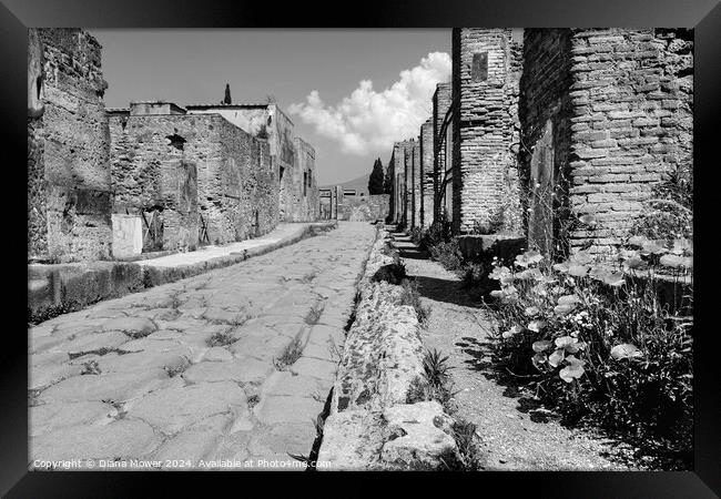 Pompeii Back Street Monochrome Framed Print by Diana Mower