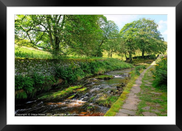  River Colne Eastergate Bridge Framed Mounted Print by Diana Mower