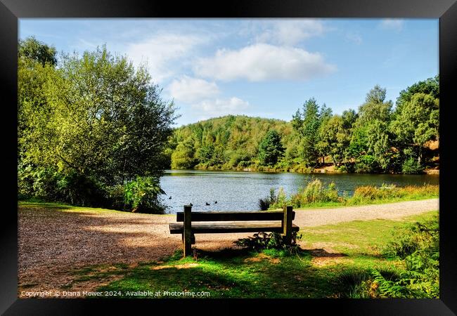 Cannock Chase Seat Framed Print by Diana Mower