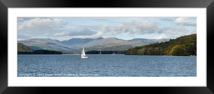  Windermere and the Fairfield Horseshoe Panoramic Framed Mounted Print by Diana Mower