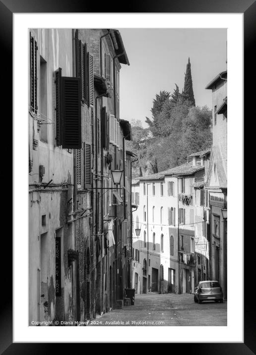 Siena Street Italy Tuscany in monochrome Framed Mounted Print by Diana Mower
