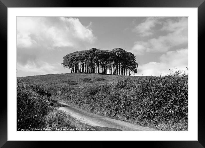 The Nearly Home trees monochrome Framed Mounted Print by Diana Mower